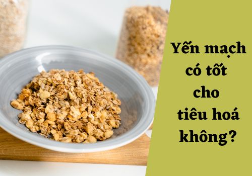 Ăn yến mạch có tốt cho tiêu hoá không?